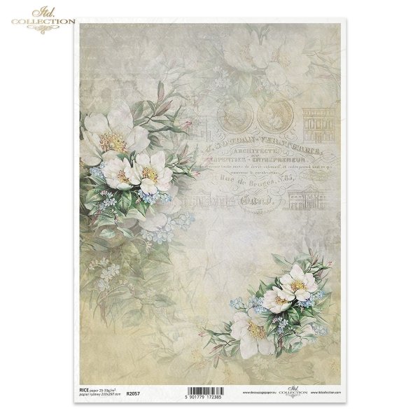 Kwiatowa Poczta, w bieli, niezapominajka, niezapominajki, kwiaty jabłoni, ogród, lato, kolaż, napisy, retro tło, Flower Post, in white, forget-me-not, forget-me-nots, apple blossoms, garden, summer, collage, captions, background, Flower 