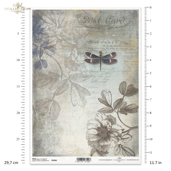 peony, inscription, Post Card, handwriting, dragonfly, background, Insekten, Blume, Pfingstrose, Inschrift, Postkarte, Handschrift, Libelle, Hintergrund, insectos, flor, peonía, inscripción, tarjeta postal, escritura, libélula, fondo 