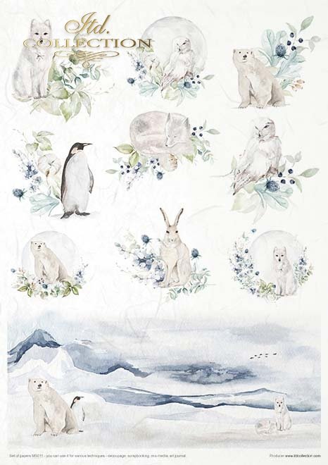 Creative Set MS011 The world of ice porcelain
