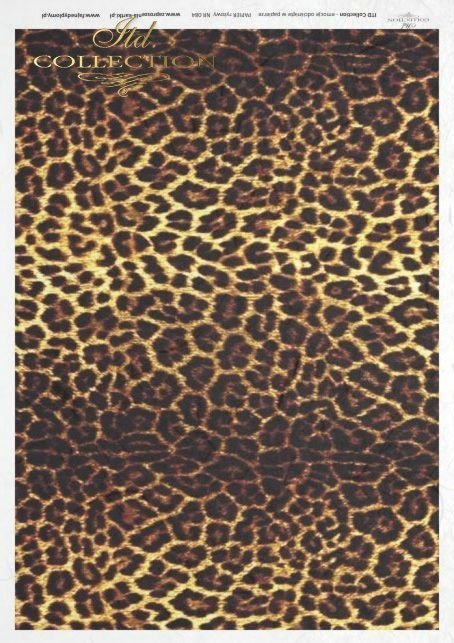 leopard, skin, R084 