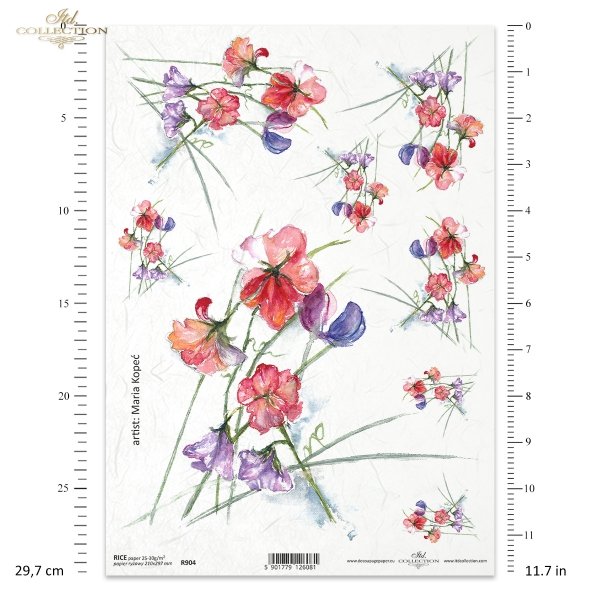 groszek pachnący, kwiat, ogród, łąka, wiosna, autorka grafiki Maria Kopeć, R904, fragrant pea, flower, garden, meadow, spring, Duftende Erbse, Blume, Garten, Wiese, Frühling, guisante fragante, flor, jardín, prado, primavera