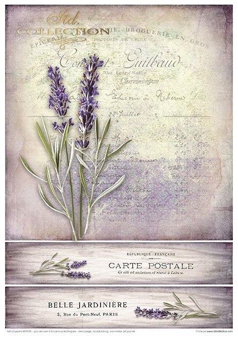 Creative Set MS036 Lavender
