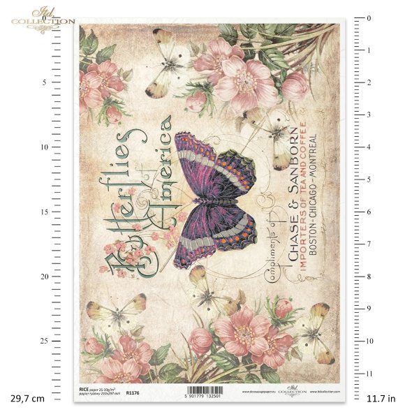 butterfly, butterflies, flowers, meadow, garden, lettering, summer, subtitles, inscriptions, Schmetterlinge, Blumen, Wiese, Garten, Retro-Lettering, Sommer, Untertitel, mariposas, flor, flores, prado, jardín, letras, verano