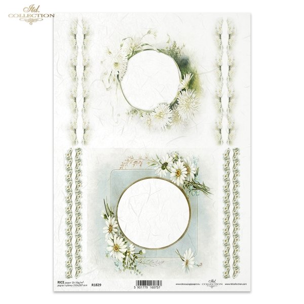 ramki, szlaczki, dekory, stokrotki, kwiaty astry, aster chiński, białe kwiaty, wiosna, Frames, stencils, decors, daisies, asters flowers, Chinese asters, white flowers, spring, Bordüren, Dekore, Gänseblümchen, Blumen Astern