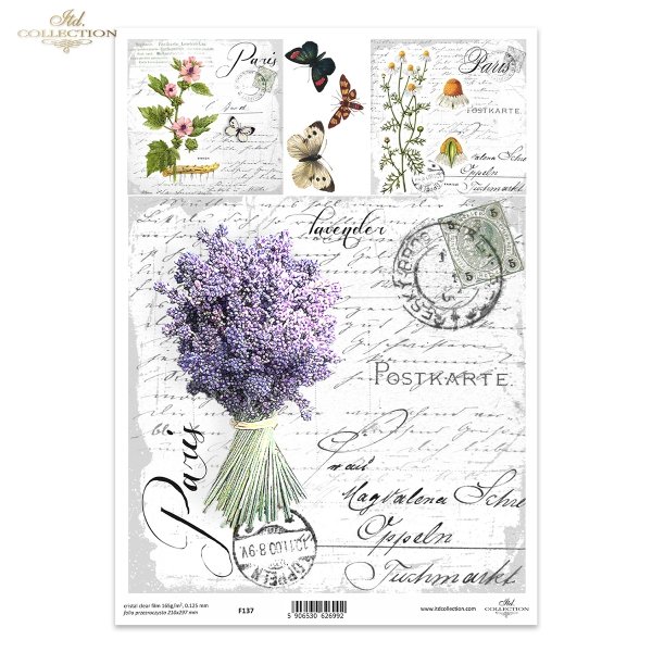 lawenda, kwiaty, zioła, rośliny*lavender, flowers, herbs, plants*Lavendel, Blumen, Kräuter, Pflanzen*lavanda, flores, hierbas, plantas