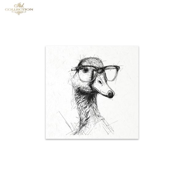 Rice paper set RSM253