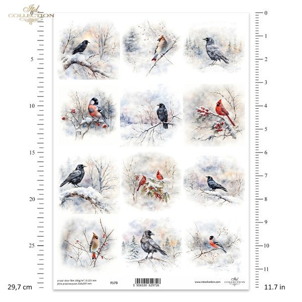 zimowe ptaki, kruki, wrony, kardynał, jemiołuszka, gil*winter birds, ravens, crows, cardinal, mistletoe, guillemot*Wintervögel, Raben, Krähen, Kardinal, Mistel, Trottellumme
