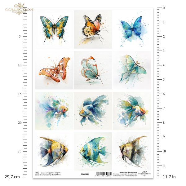 motyl, akwarela, złota rybka, skalar, ryby*butterfly, watercolor, goldfish, angelfish, fish*butterfly, watercolor, goldfish, angelfish, fis