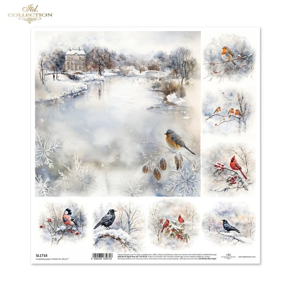 zimowa sceneria, mroźny krajobraz, widoczki, łąka*winter scenery, frosty landscape, views, meadow *Winterszenerie, frostige Landschaft, Ausblicke, Wiese*paisaje invernal, paisaje helado, vistas, pradera