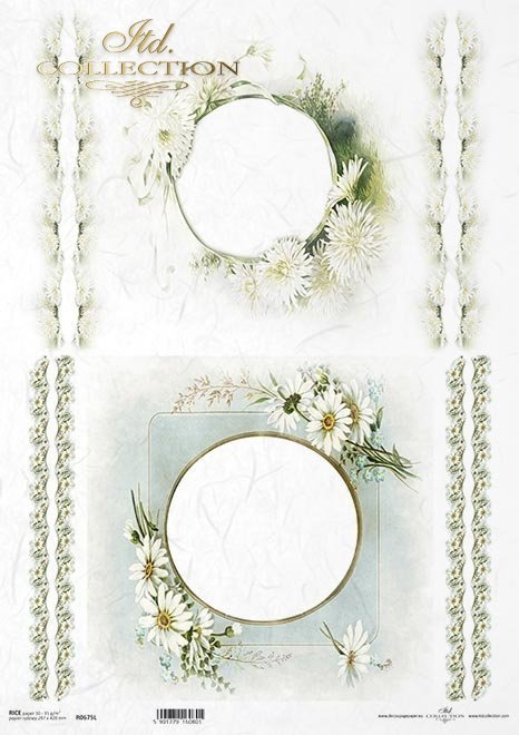 ramki, szlaczki, dekory, stokrotki, kwiaty astry, aster chiński, białe kwiaty*frames, slides, decors, daisies, asters, Chinese asters, white flowers