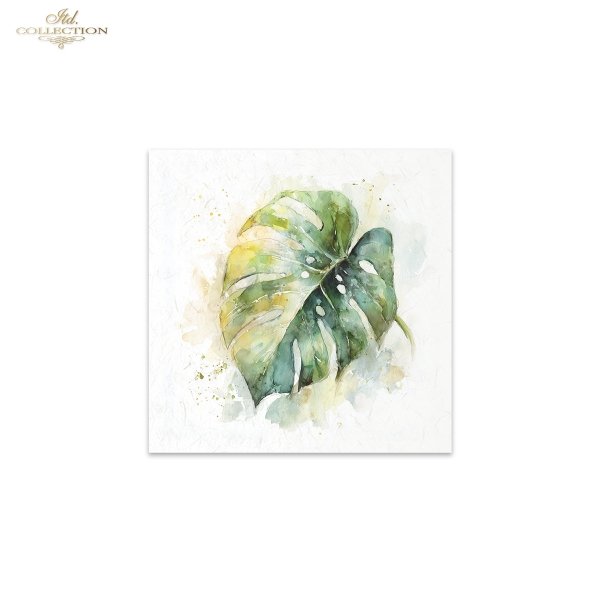 Rice paper set RSM278