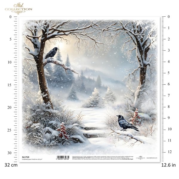 zimowa sceneria, mroźny krajobraz, widoczki, łąka*winter scenery, frosty landscape, views, meadow *Winterszenerie, frostige Landschaft, Ausblicke, Wiese*paisaje invernal, paisaje helado, vistas, pradera