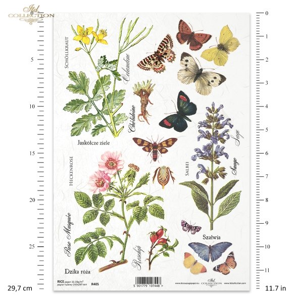 łąka, rośliny, motyl, motyle,  jaskółcze ziele, szałwia, dzika róża, kwiat, kwiaty, zioła, ziółka, R405