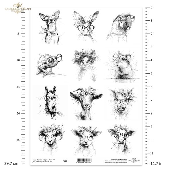 zwierzęta, okulary, kapelusze, wianki, czarno-białe, szkic, tusz, hipster, ilustracja, plakat, nowoczesny, grafika, portret, struś, kaczka, kogut, kura, sowa, alpaka, hipopotam, żyrafa, małpa, pingwin, nosorożec*animals, glasses, hats, wreaths, black and 
