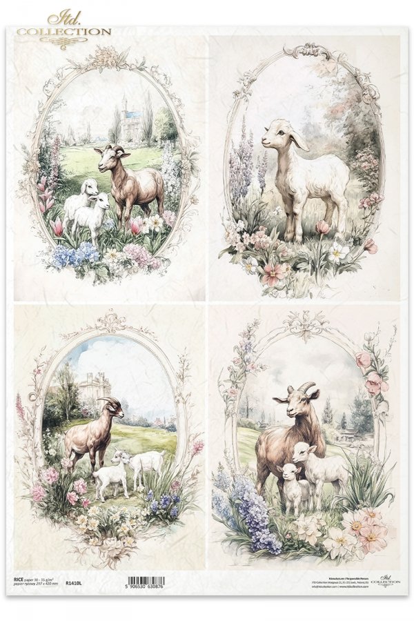 kozy, wiejskie zwierzęta, wiosenne klimaty, rustykalny styl*goats, countryside animals, springtime climate, rustic style*Ziegen, Tiere auf dem Lande, Frühlingsklima, rustikaler Stil*cabras, animales de campo, clima primaveral, estilo rústico