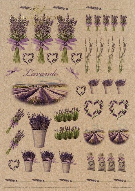 Creative Set MS036 Lavender