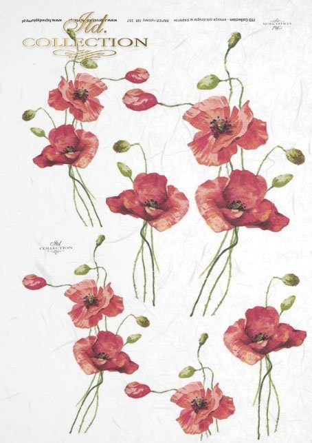 decoupage-scrapbooking-mixed-media-flowers-red-poppies-R0167