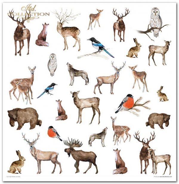 Winter animals - Zimowe zwierzęta, sroka, gil, łoś, niedźwiedź, wilk, sowa, zając, jeleń, przekładki do bombek, zimowe widoczki, śnieżynki, gwiazdki, akwarele