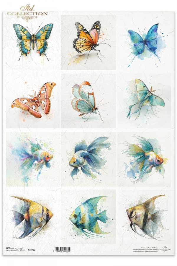 motyl, akwarela, złota rybka, skalar, ryby*butterfly, watercolor, goldfish, angelfish, fish