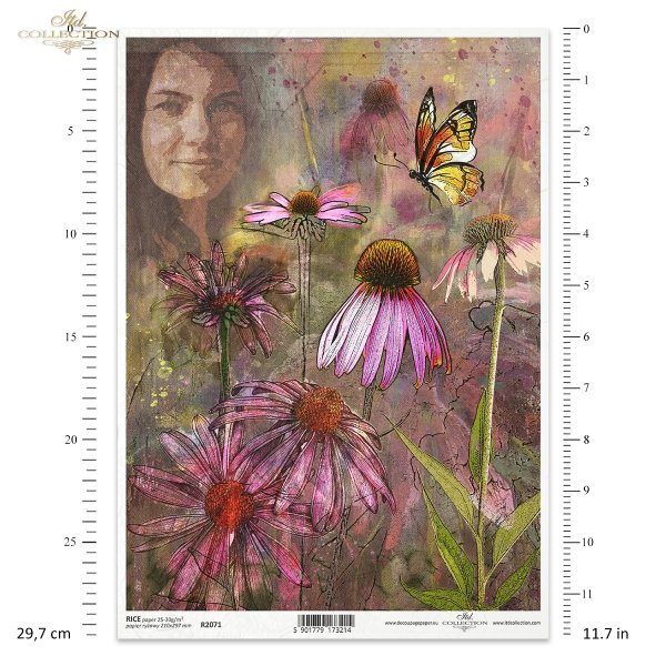 twarz żeńska, twarz kobiety, kobieta, zielarka, herbalist, rośliny, kwiaty, ogród, łąka, echinacea, jeżówka, płótno, struktura płótna, woman's face, female face, woman, herbalist, plants, flowers, garden, meadow, echinacea, canvas