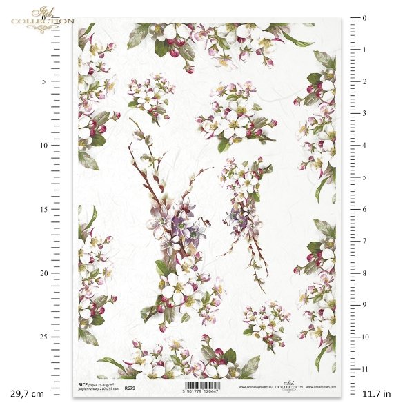 kwiat jabłoni, kwitnąca jabłoń, drzewo owocowe, wiosna, R679, apple blossom, blossoming apple tree, fruit tree, spring, Apfelblüte, blühender Apfelbaum, Obstbaum, Frühling, manzano en flor, manzano en flor, árbol frutal, primavera 