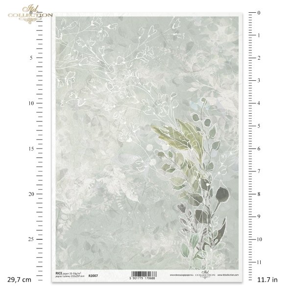 bukiet, roślinne tło, roślinna kompozycja, rośliny, kompozycja roślinna, roślinne tło, R2007, bouquet, floral background, floral composition, plants, Blumenstrauß, floraler Hintergrund, florale Komposition, Pflanzen, florale Komposition, ramo, fondo flora