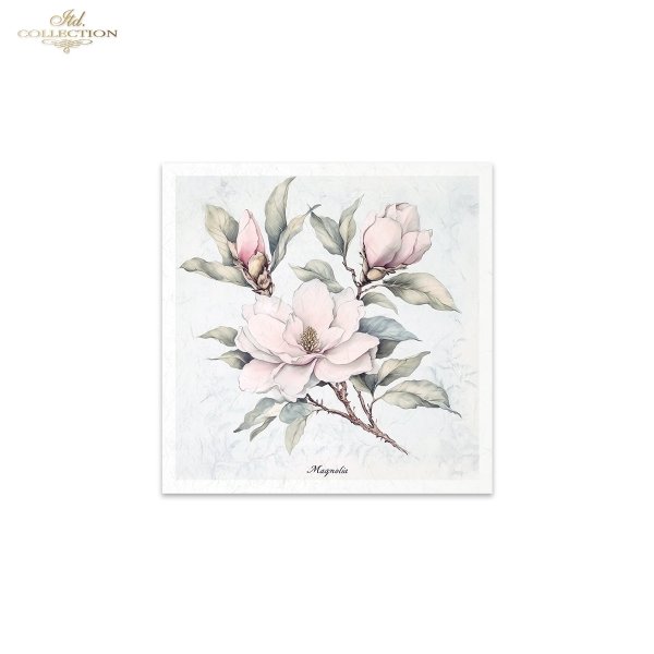 Rice paper set RSM176