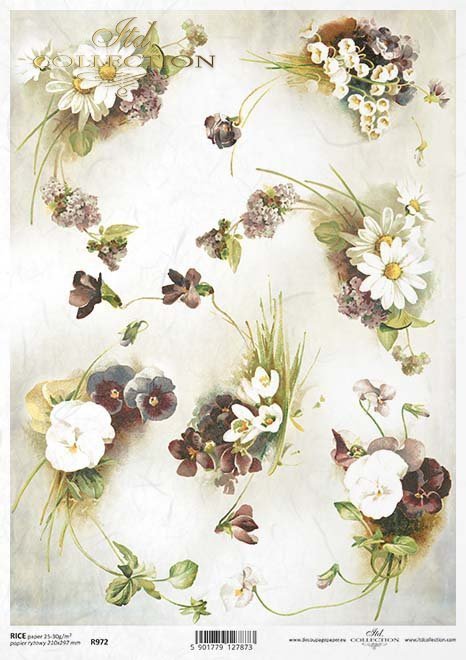 bratek, bratki, fiołek, fiołki, konwalia, konwalie, stokrotka, stokrotki, bukiet, kwiat, łąka, ogród, wiosna, lato, R972, pansy, pansies, violet, lily of the valley, daisy, daisies, bouquet, flower, meadow, garden, spring, summer, Stiefmütterchen, Veilche