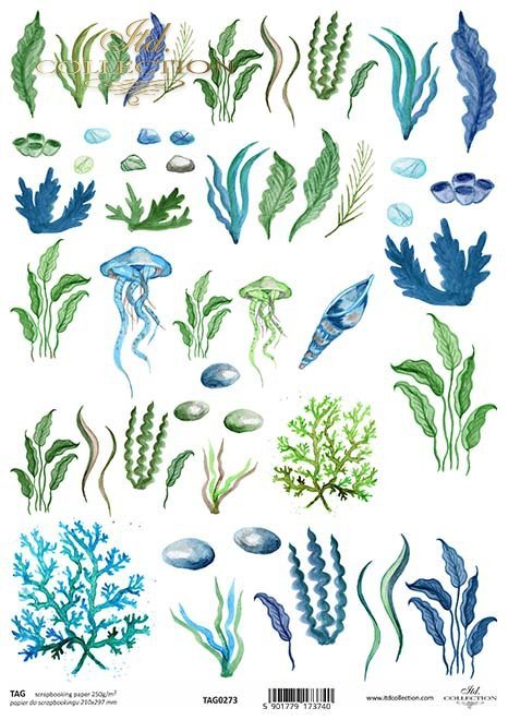 wodorosty, meduzy, trawy, rośliny morskie*Seaweeds, jellyfish, grasses, sea plants*Algen, Quallen, Gräser, Meerespflanzen*Algas, medusas, hierbas, plantas marinas