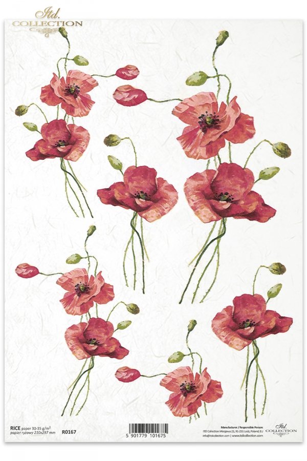 mak, maki, czerwone, kwiaty, makówki, ogród, łąka, R167, flowers, red, field poppies, meadow, garden, ote Mohnblumen, Blumen. Frivoler Feldmohn im Wind, amapolas rojas, flores, amapolas de campo en el viento