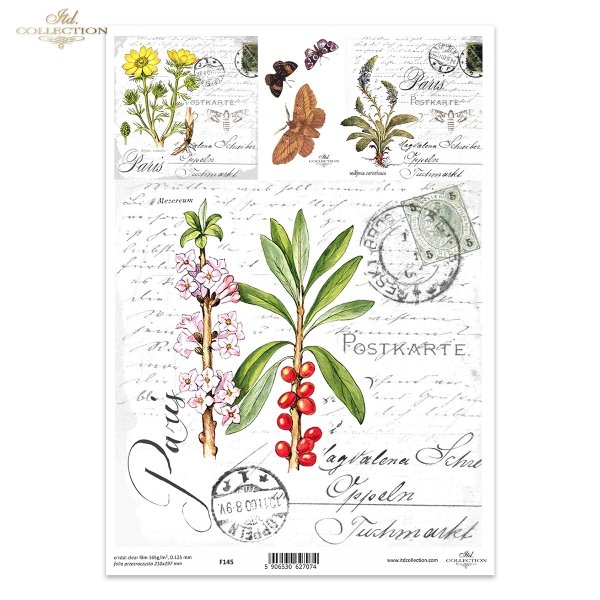 Wawrzynek wilczełyko, motyle, zioła, kwiaty*Woolly laurel, butterflies, herbs, flowers*Wolliger Lorbeer, Schmetterlinge, Kräuter, Blumen*Laurel lanudo, mariposas, hierbas, flores