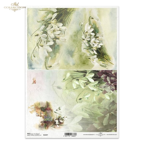 wiosenne kwiaty, przebiśniegi, wiosna, przedwiośnie, wiejski domek, łąka, kwiaty polne, spring flowers, snowdrops, spring, country house, field flowers, meadow, Frühlingsblumen, Schneeglöckchen, Frühling