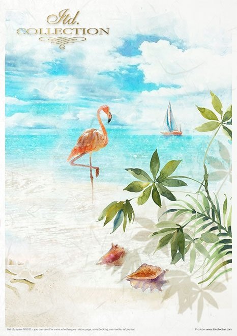 Seria Tropical Dreams - Tropikalne marzenia * Series Tropical Dreams
