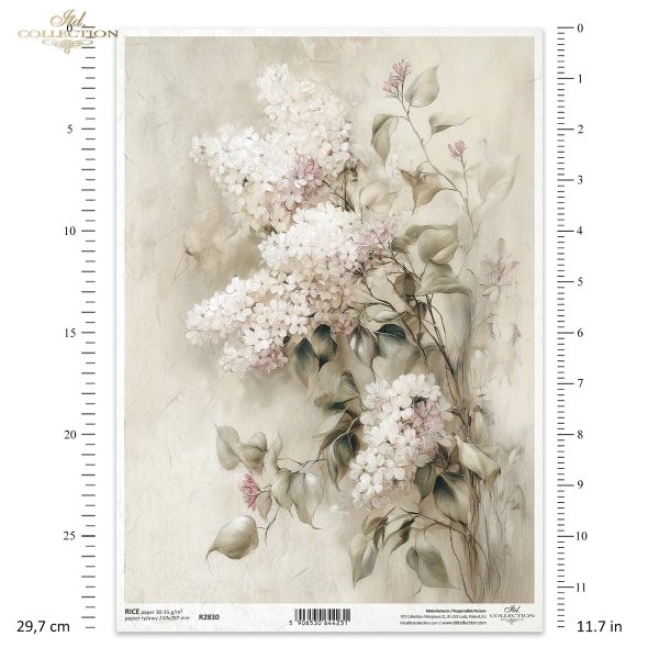 vintage, flora, bukiety, kwiaty, botanika, bez