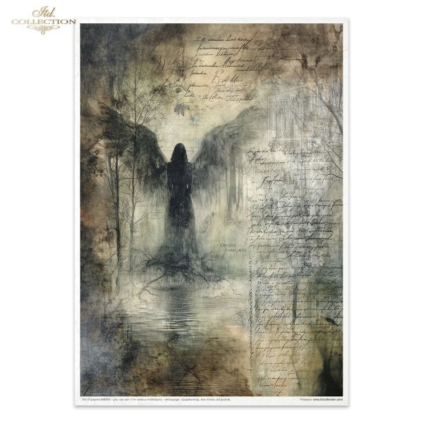 MS052 * Light &amp; Shadow part 2 - Światło i Cień