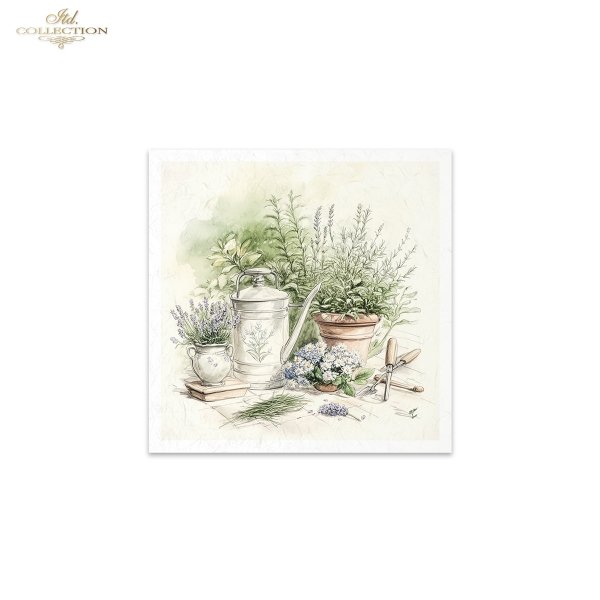 conjunto de papeles de arroz RSM169