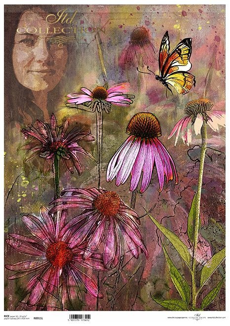 twarz kobiety, rośliny, echinacea, jeżówka*female face, plants, Echinacea, coneflower*weibliches Gesicht, Pflanzen, Echinacea, Sonnenhut*rostro femenino, plantas, Echinacea, coneflower