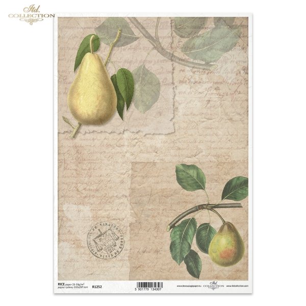 gruszka, gruszki, owoce, gałązka, liście, stare napisy, retro, ręczne pismo, stary papier, list, tło, pears, fruit, twig, leaves, old inscriptions, retro, handwriting, old paper, letter, background, Birnen, Frucht, Zweig, Blätter