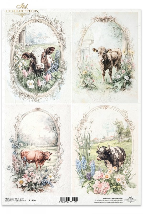 krowy, wiejskie zwierzęta, wiosenne klimaty, rustykalny styl, cows, country animals, springtime climate, rustic style Kühe, Tiere auf dem Lande, Frühlingsklima, rustikaler Stil, vacas, animales de campo, clima primaveral, estilo rústico