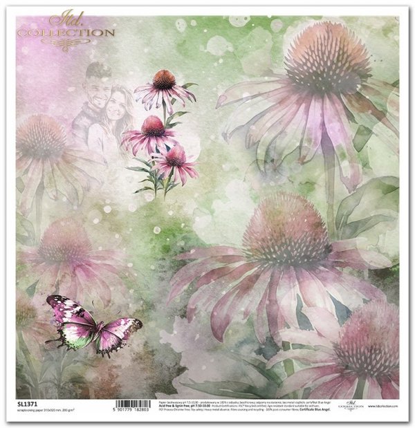Summer Love Story - akwarelowe tło, kwiaty, owady, akwarelowe tło, echinacea, zakochana para, motyl*watercolour background, flowers, insects, watercolour background, echinacea, couple in love, butterfly