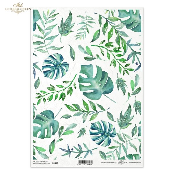 zielono-niebieskie, zielone, liść, liście, monstera, monstery, filodendron, filodendrony, green-blue, green, leaf, leaves, monstera, philodendrons, grün-blau, grün, Blatt, Blätter, Monstera, Philodendrons, verde-azul, verde