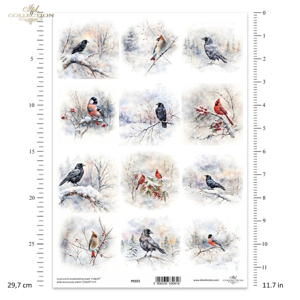 zimowe ptaki, kruki, wrony, kardynał, jemiołuszka, gil*winter birds, ravens, crows, cardinal, mistletoe, guillemot*Wintervögel, Raben, Krähen, Kardinal, Mistel, Trottellumme