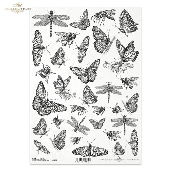 owady, motyl, pszczoła, pszczoły, osa, osy, trzmiel, ważka, ważki, letnia łąka, Summer meadow, insect, butterfly, bee, wasp, bumblebee, dragonfly, dragonflies, Insekt, Schmetterling, Biene, Wespe, Hummel, Libelle, Sommerwiese