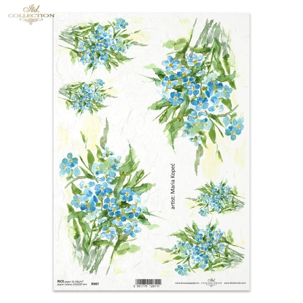 niezapominajka, niezapominajki, kwiat, ogród, łąka, wiosna, autorka grafiki Maria Kopeć, R907, forget-me-not, flower, garden, meadow, spring, Vergissmeinnicht, Blume, Garten, Wiese, Frühling, nomeolvides, flor, jardín, prado, primavera