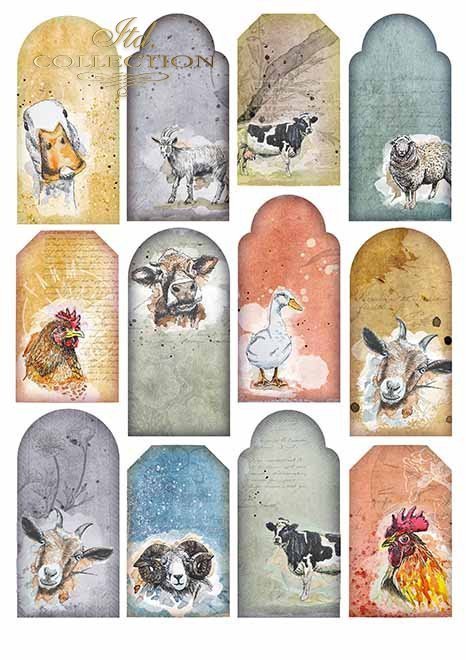 Papiery do scrapbookingu w zestawach - wesoła farma cz.2 * Papers for scrapbooking in sets - a cheerful farm vol.2