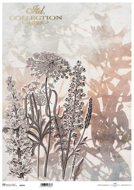 kwiaty polne, trawy, akwarela*field flowers, grasses, watercolour*Feldblumen, Gräser, Aquarell*flores de campo, hierbas, acuarela