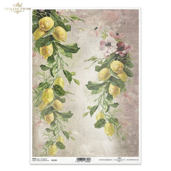cytryna, cytryny, cytrynki, cytrusy, gałązki, listki, kwiaty, tło, owoce, zielone, żółte, fruits and flowers, ripe yellow lemons on twigs, lemon, green, yellow, Zitrone, Zitronen, Früchte, Zitrusfrüchte, Zweige, Blätter, Blüten
