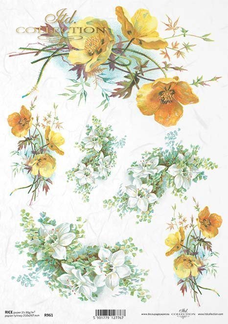 kaczeńce, jaśmin, kwiat, ogród, łąka, wiosna, R961, jasmine, flower, garden, meadow, spring, Jasmin, Blume, Garten, Wiese, Frühling, jazmín, flor, jardín, prado, primavera