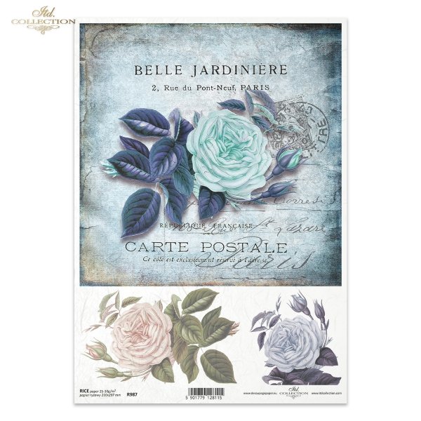 róża, róże, kwiat, pąk, liście, listki, ogród, retro, kartka pocztowa, stempel, retro, R987, rose, flower, bud, leaves, garden, retro, postcard, postmark, Rose, Blume, Knospe, Blätter, Garten, Retro, Postkarte, Poststempel, rosa, flor, capullo, hojas, jar