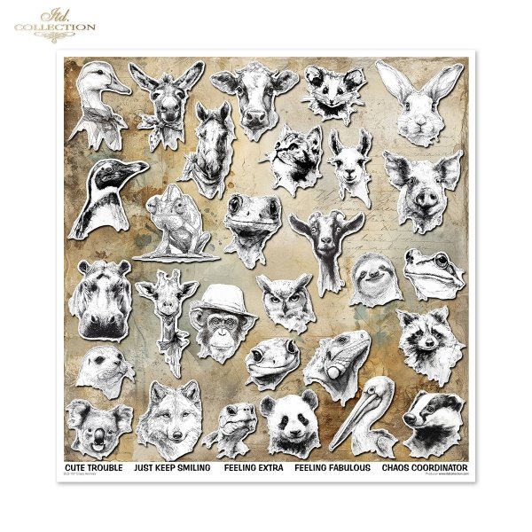 Crazy Animals - Zwariowane Zwierzęta - Crazy Animals - Verrückte Tiere - Animales Locos